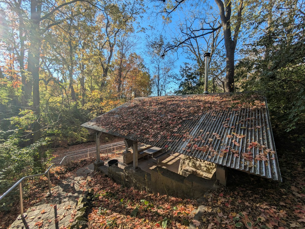 Mastering Cedar Shake Roof Care and Long-Term Wood Preservation